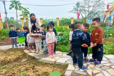 TRẢI NGHIỆM THU HOẠCH CÀ CHUA